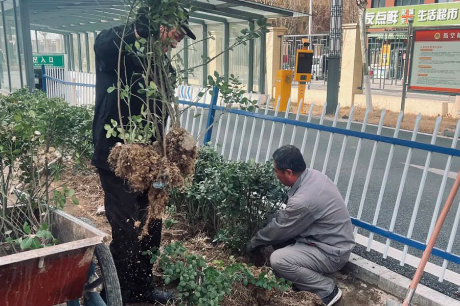 MG不朽情缘(中国区)官方网站
